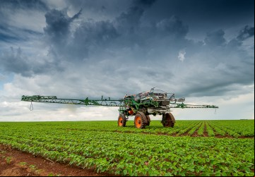 Rio Verde se torna o segundo maior produtor de soja entre os municípios brasileiros