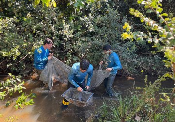 Pesquisadores desenvolvem atividades em campo e em laboratório: iniciativas contribuem para conservação dos ecossistemas aquáticos goianos