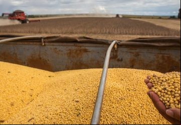 Goiás é o 8º estado que mais exportou no Brasil em março, consolidando como um dos principais exportadores do país