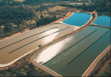 Mensalmente, mais de 40 toneladas de lixo são retiradas da Estação de Tratamento de Esgoto (ETE) Goiânia